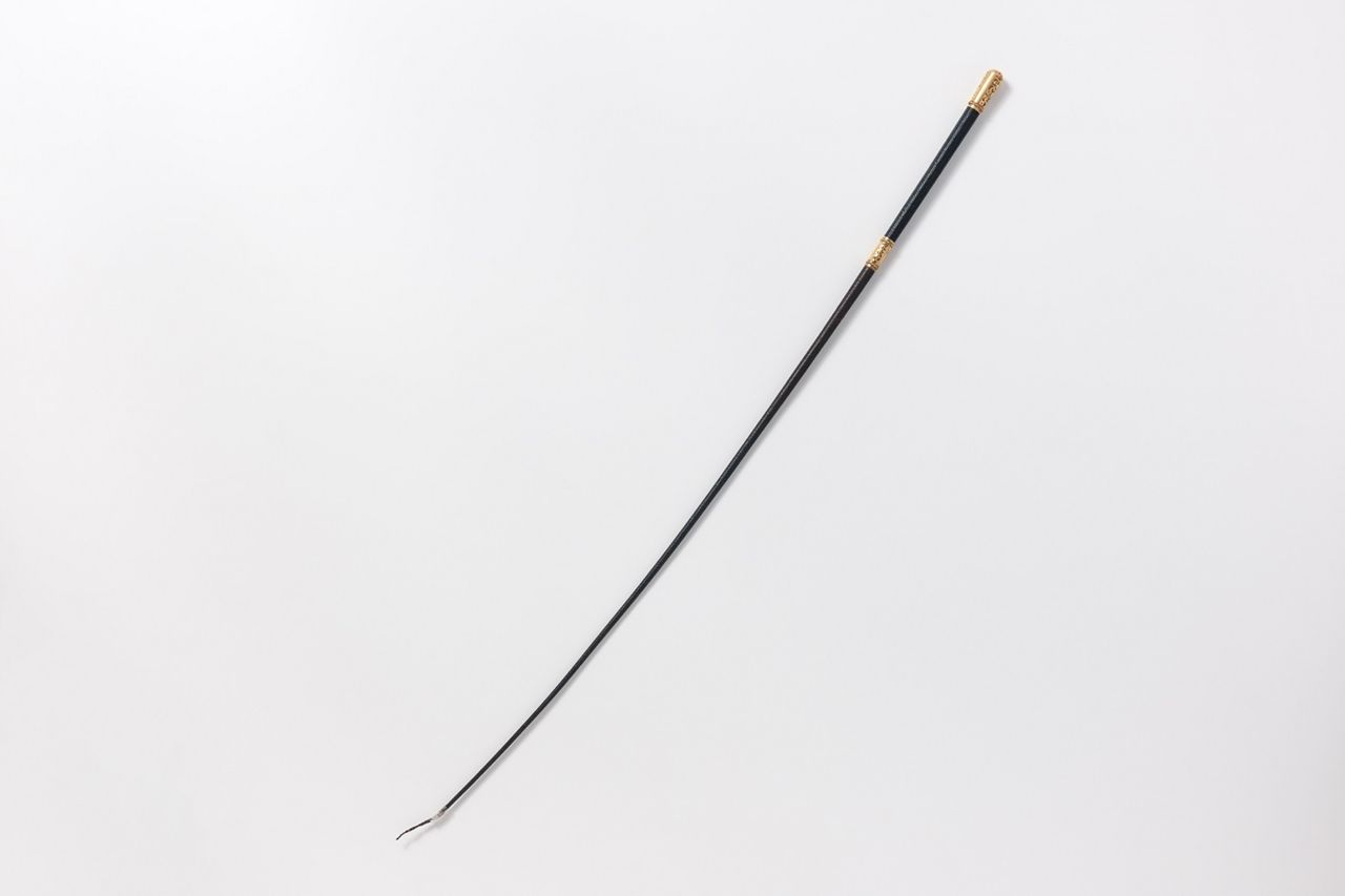 Ein revolutionäres Ehepaar: der Nachlass von Emma und Georg Herwegh