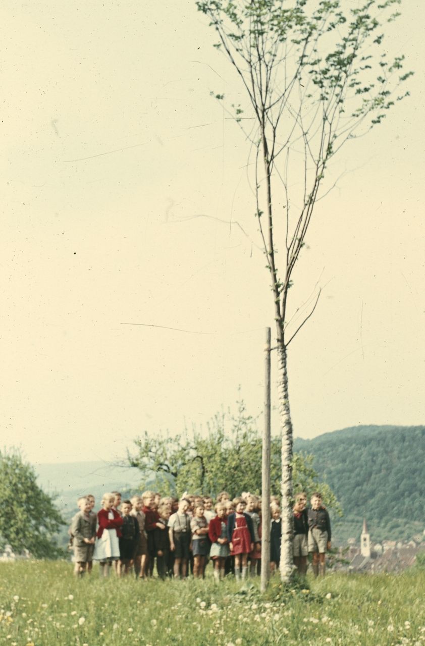 Fotografie, Liestal, Gedenkfeier bei der Friedenslinde, Klasse 2c