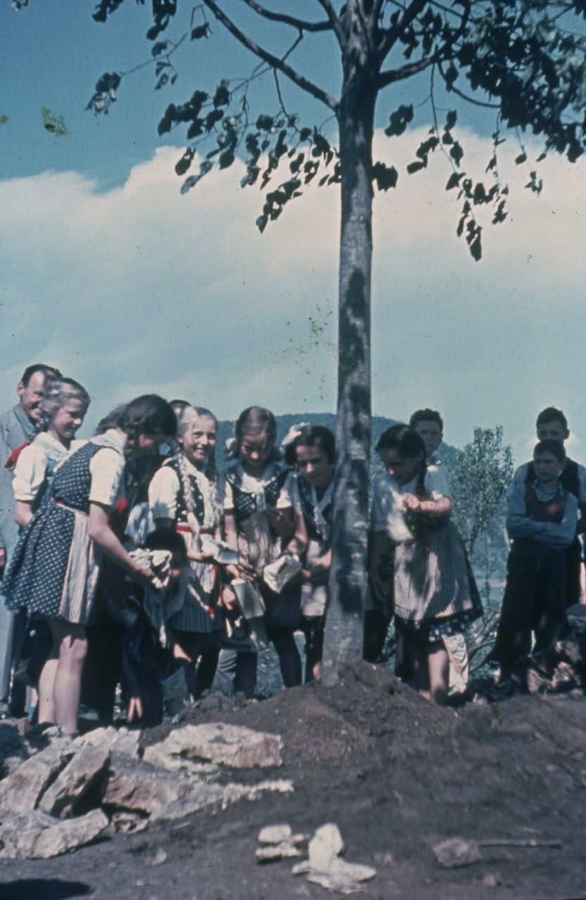 Fotografie, Liestal, Pflanzen der Friedenslinde