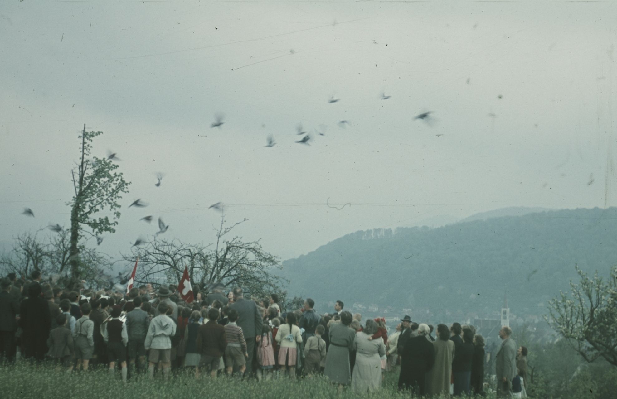 Fotografie, Liestal, Gedenkfeier bei der Friedenslinde, Brieftauben