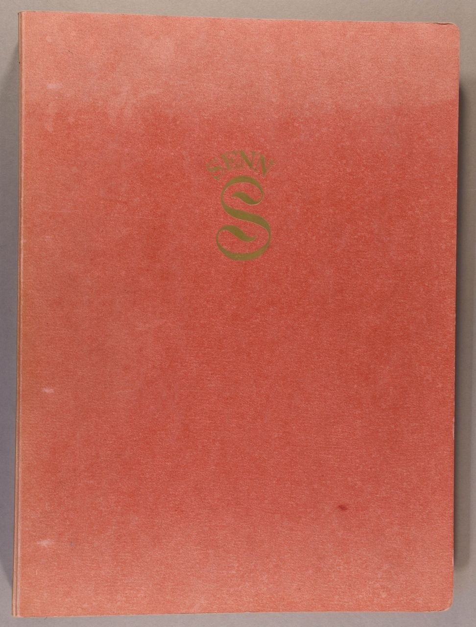 Dessinentwürfe