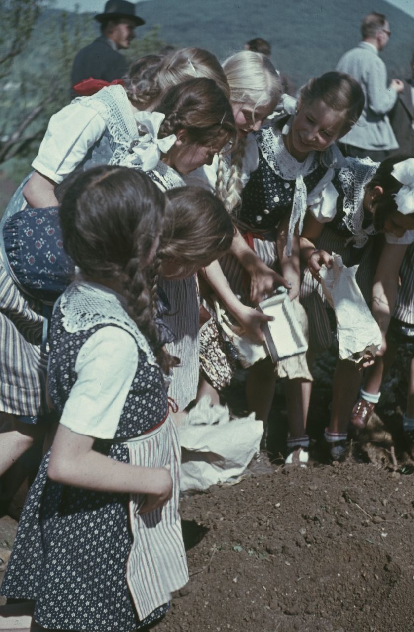 Fotografie, Liestal, Pflanzen der Friedenslinde