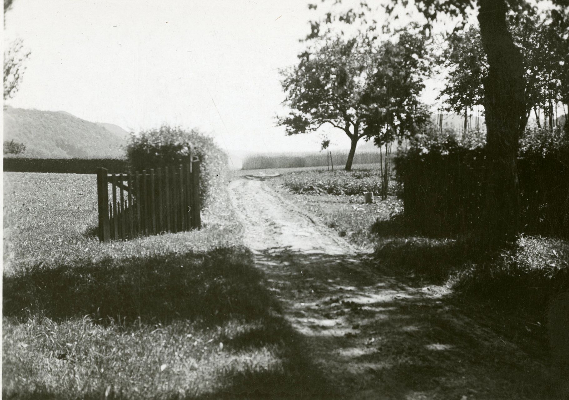 Fotografie, Sissach, Schloss Ebenrain, Hofgut
