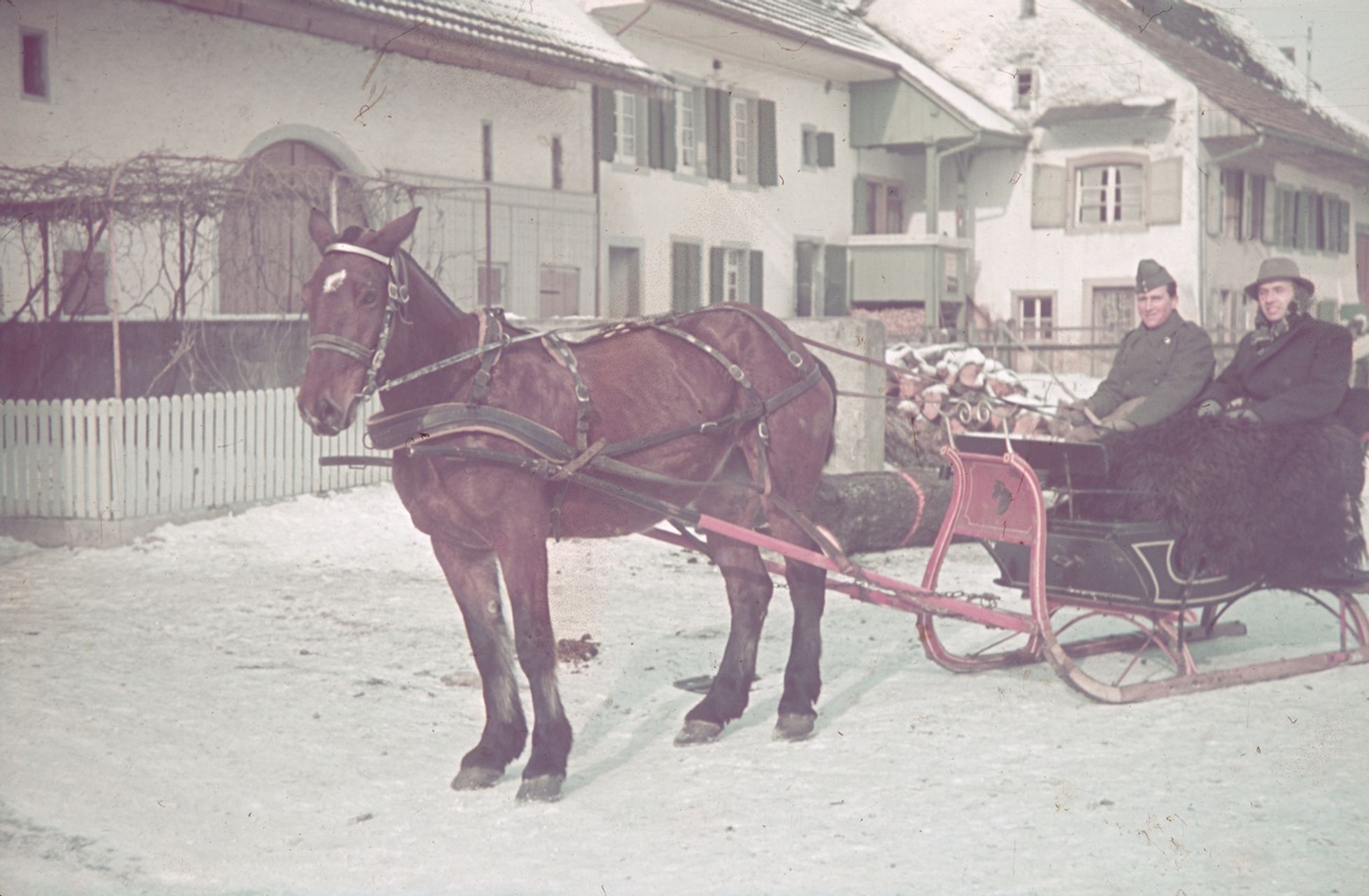 Fotografie, Ormalingen, Pferdeschlitten