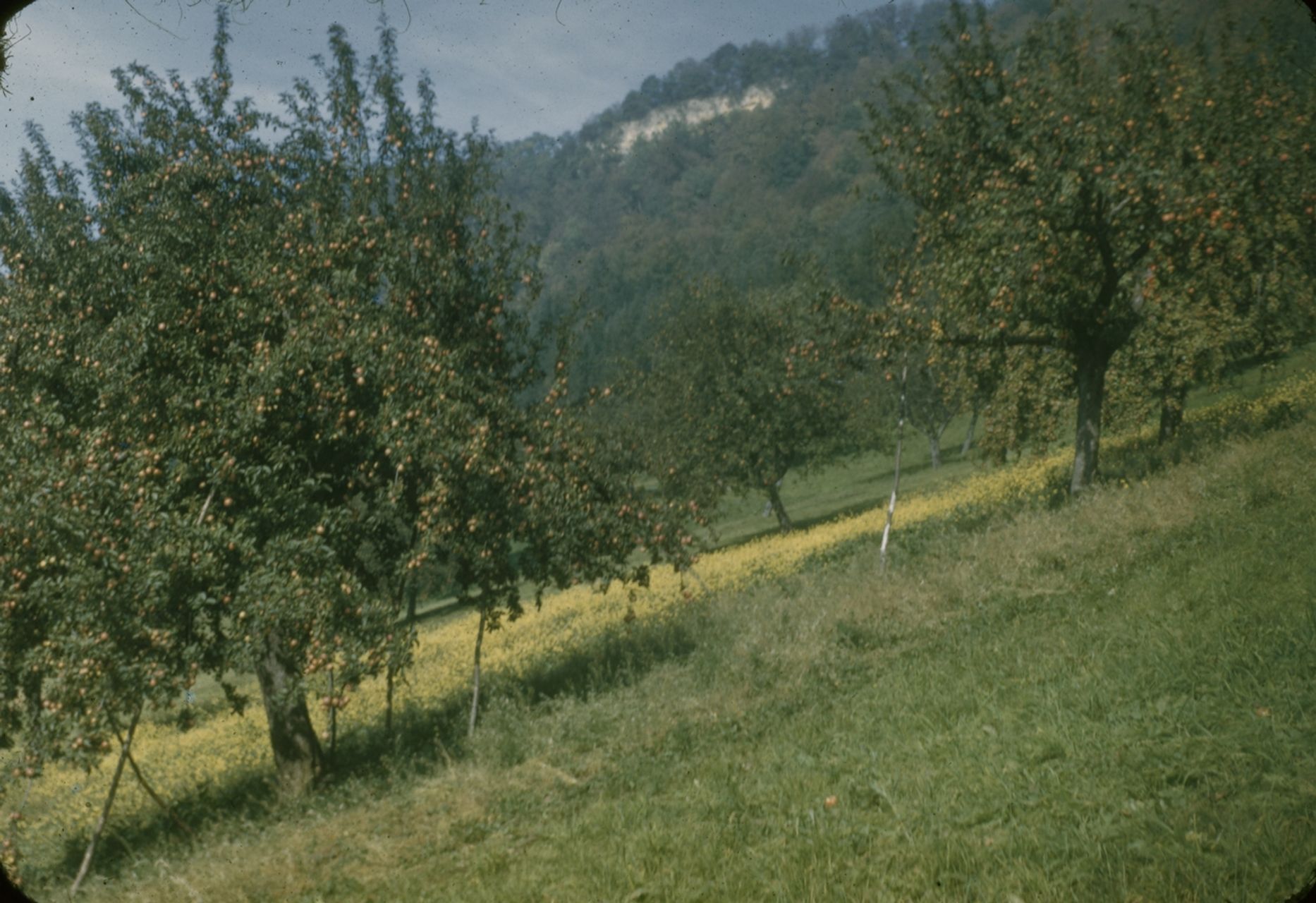 Fotografie, Bei Liestal, Rote Fluh