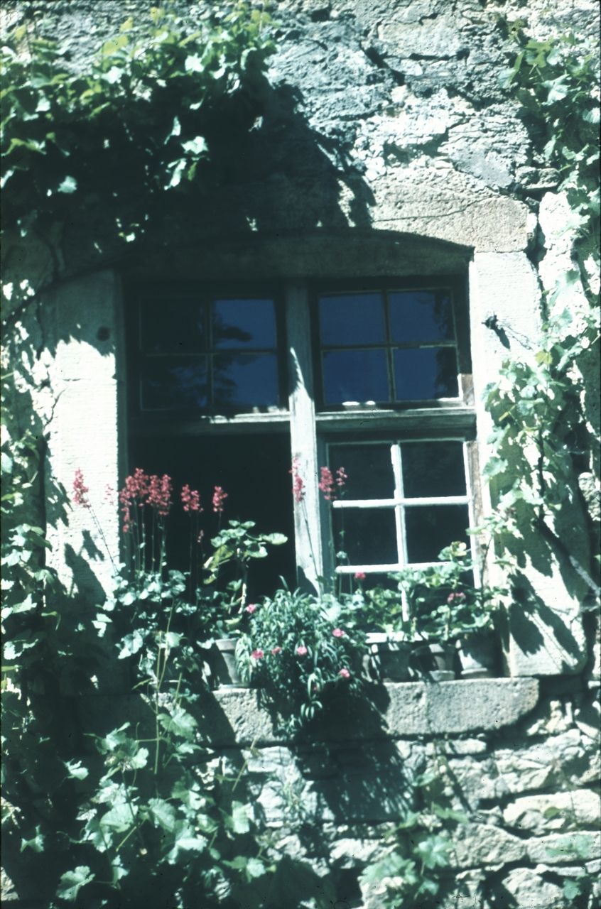 Fotografie, Nusshof, Fenster am Bauernhaus Fricker