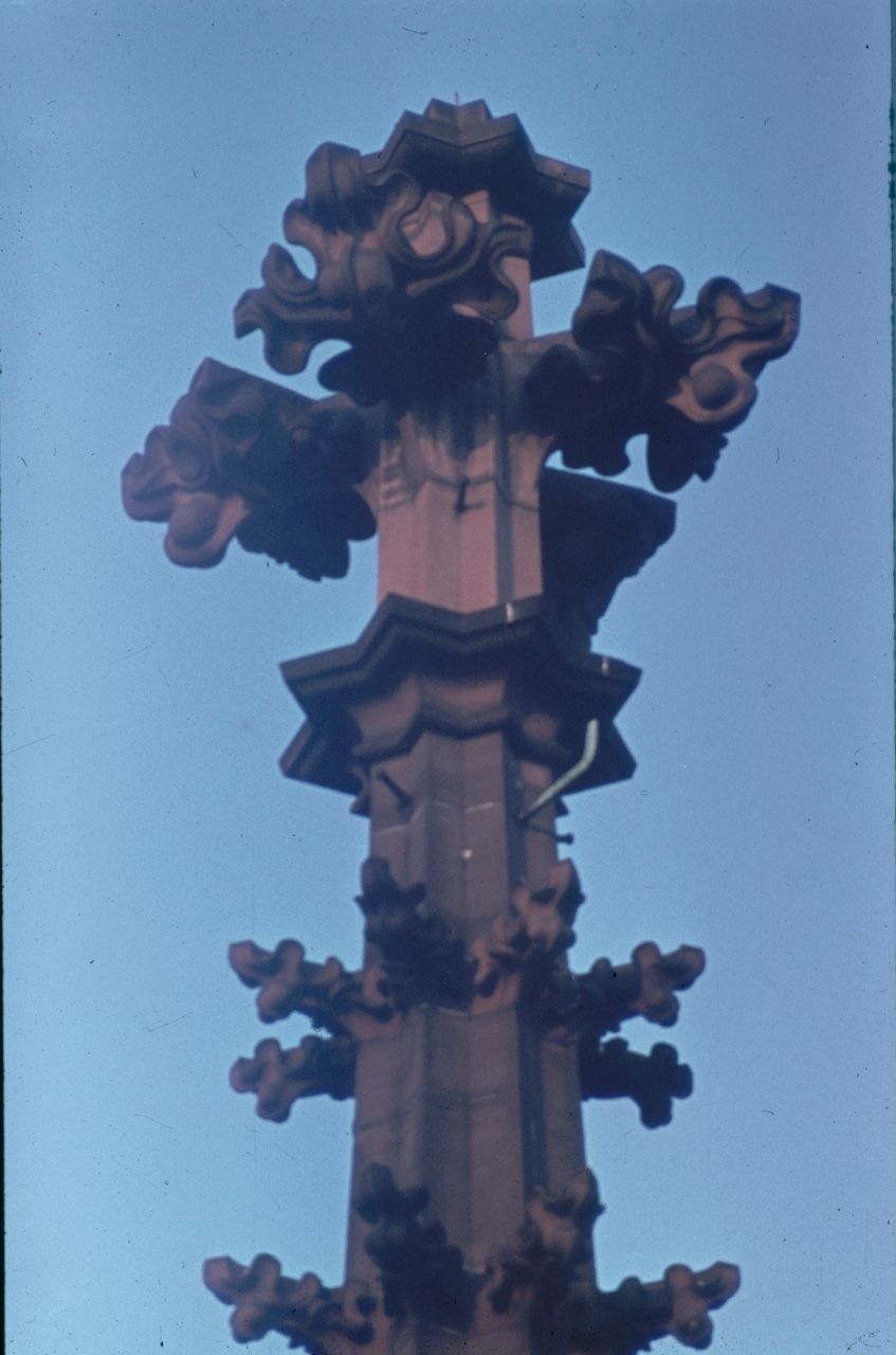Fotografie, Basel, Münster, Kreuzblume
