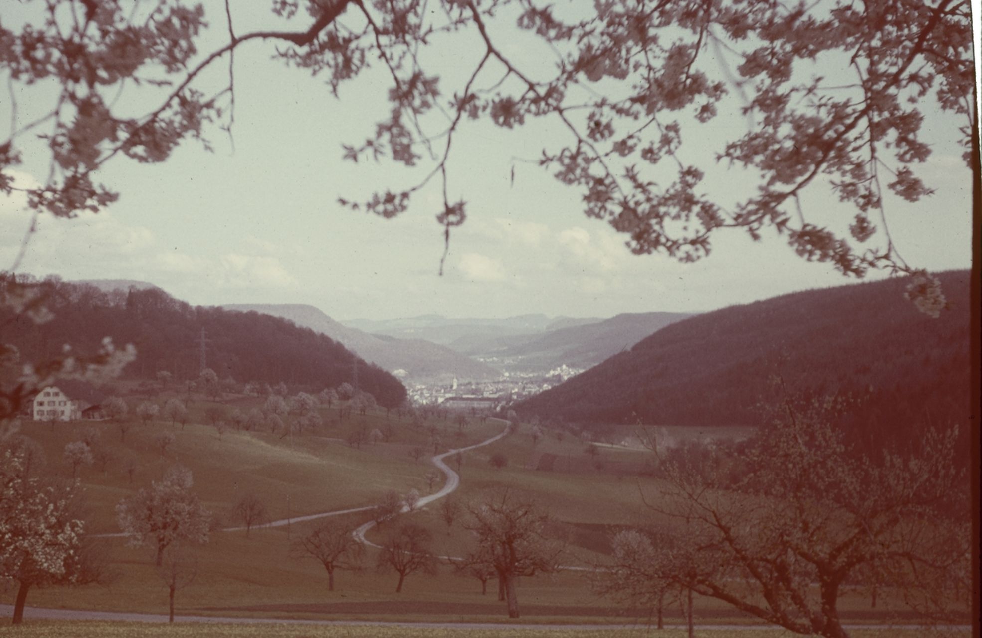 Fotografie, Liestal, Röserental