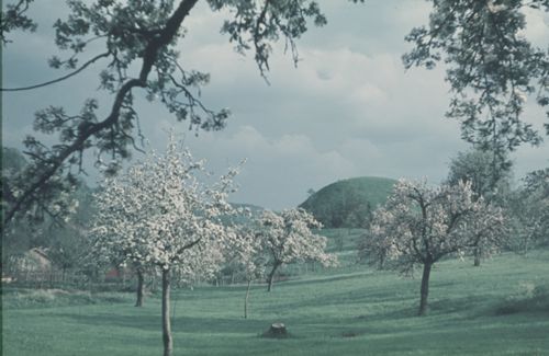 Fotografie, Zunzgen, Büchel