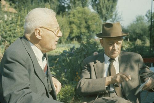 Fotografie, Portrait