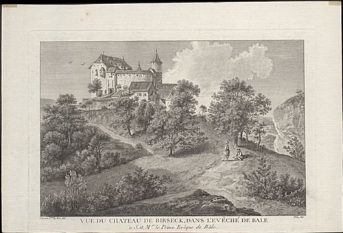 Née - Druckgrafik, Vue du Château de Birseck, dans l'Echêché de Bale.