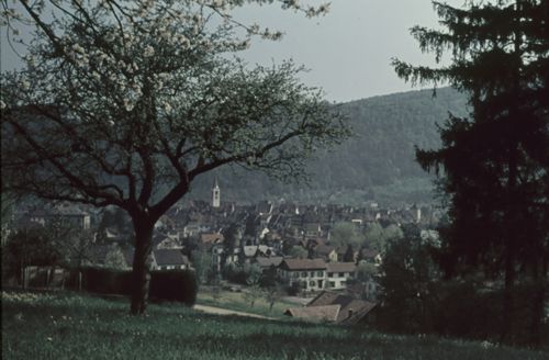 Fotografie, Liestal von Sommerhalde aus