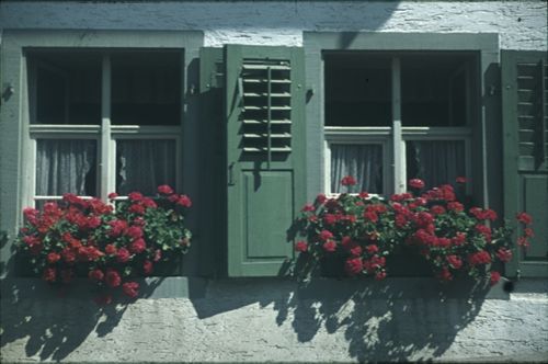 Fotografie, Maisprach, Fenster mit Geranienschmuck