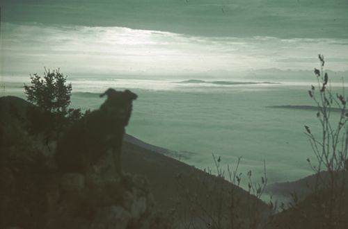 Fotografie, Eptingen, Bölchen, Sonnenaufgang mit Nebelmeer