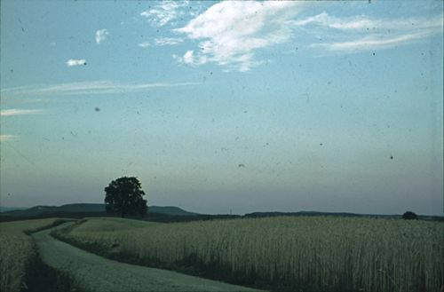 Fotografie, Lampenberg, Obetsmatt