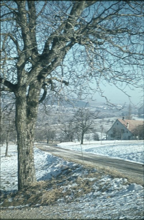 Fotografie, Bei Buus