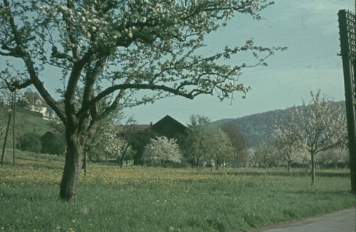 Fotografie, Bauernhof