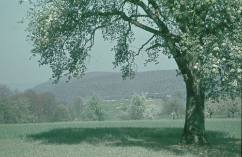 Fotografie, Landschaft