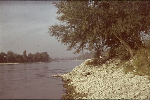 Fotografie, Birsfelden, Rheinufer