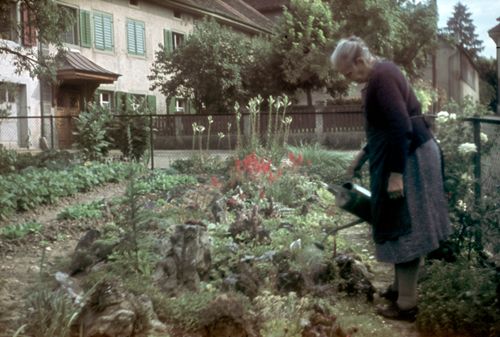 Fotografie, Binningen, Blumen- und Gemüsegarten
