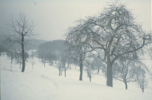 Fotografie, Ormalingen, Winterlandschaft