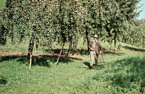Fotografie, Liestal, Rankweg, Obstbäume, Feldhüter Merz
