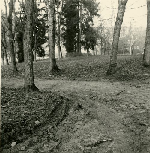 Fotografie, Sissach, Schloss Ebenrain, Allee