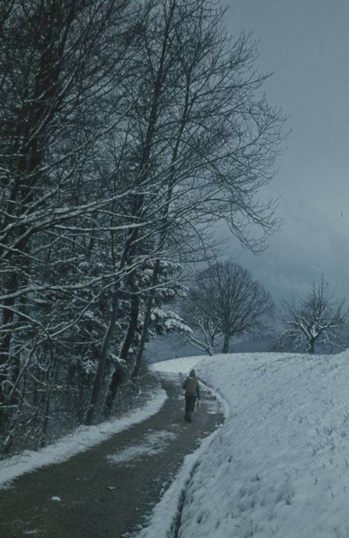 Fotografie, Gelterkinden, Weg zur Farnsburg beim obern Homberg