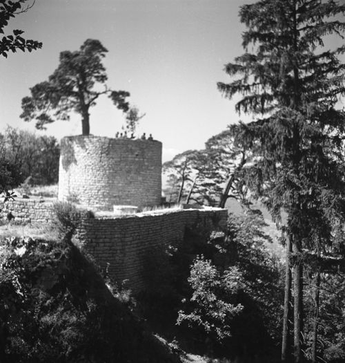 Fotografie, Sissach, Bischofstein