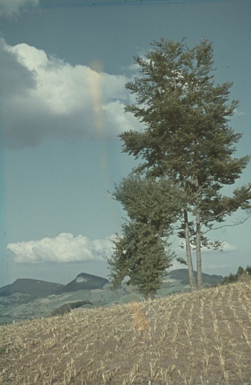 Fotografie, "Sommers Ende", Baselbieter Jura
