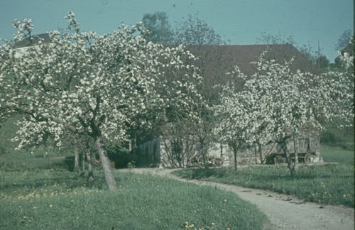 Fotografie, Bauernhof