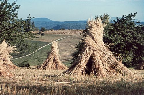 Fotografie, Häfelfingen, Haferpuppen
