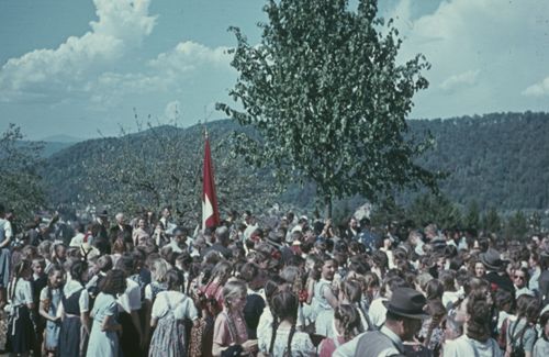 Fotografie, Liestal, Pflanzen der Friedenslinde