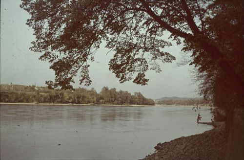 Fotografie, Muttenz, Rhein