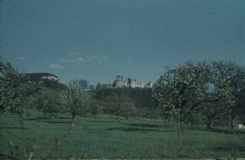Fotografie, Dornach, Dorneck, Schartenfluh