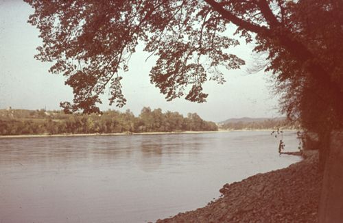 Fotografie, Birsfelden, Rhein
