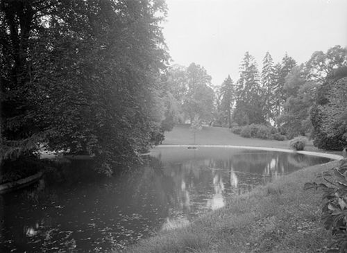 Fotografie, Sissach, Schloss Ebenrain, Teich im Obstgarten