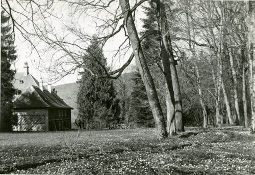 Fotografie, Sissach, Schloss Ebenrain, Schlosspark