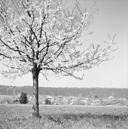 Fotografie, Landschaft