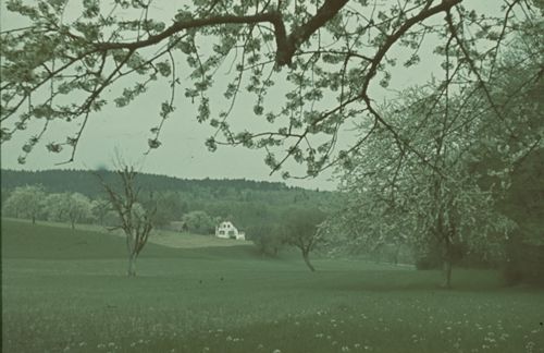 Fotografie, Bauernhof