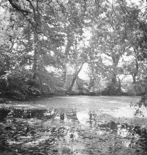 Fotografie, Bubendorf, Wildenstein, Weiher östlich Schloss