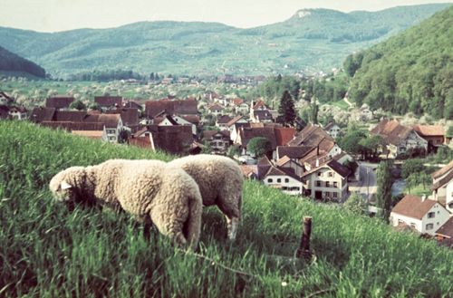 Fotografie, Zunzgen, Blick vom Büchel