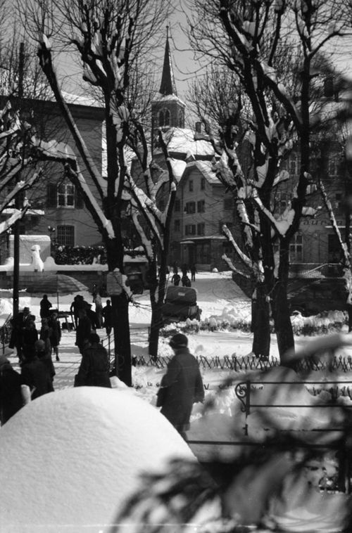 Fotografie, Liestal, Allee im Winter