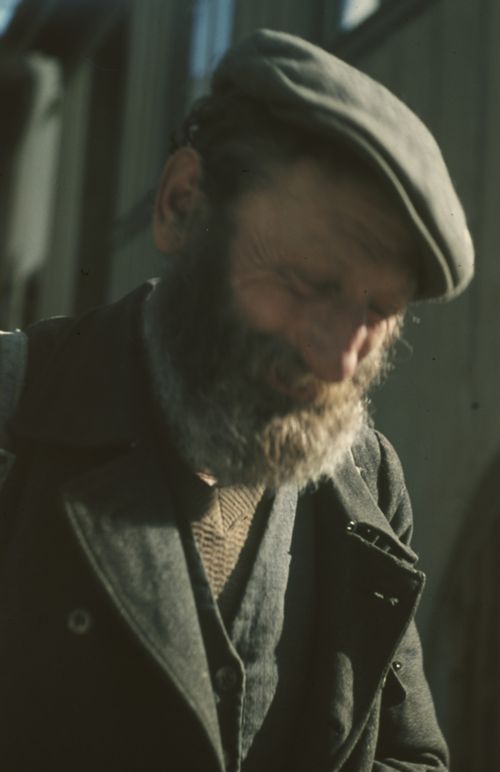 Fotografie, Portrait