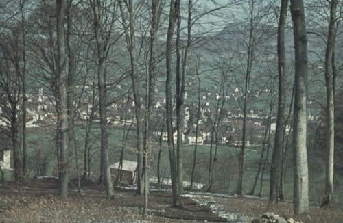 Fotografie, Sissach vom Burgenrain aus