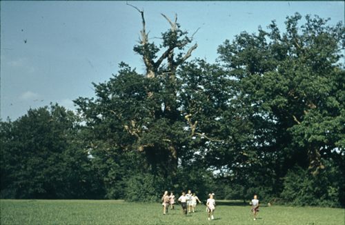 Fotografie, Bubendorf, Schloss Wildenstein