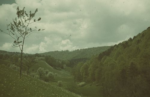 Fotografie, Liestal, Brunnbachtal (?)