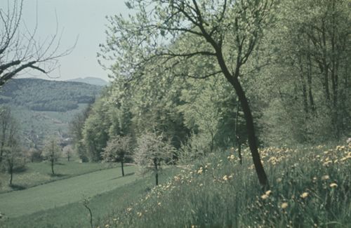 Fotografie, Gelterkinden, bei den Homberghöfen