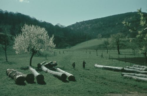 Fotografie, Liestal, Röserental