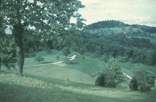 Fotografie, Buus, Farnsberg von Norden